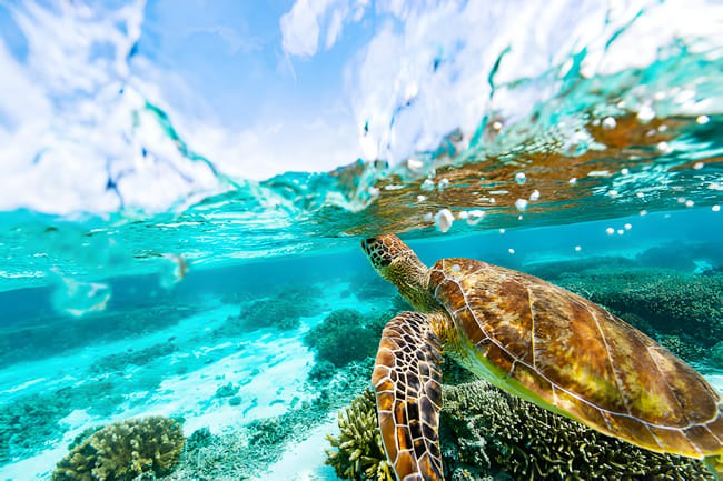 Explore Tulum from Tulum